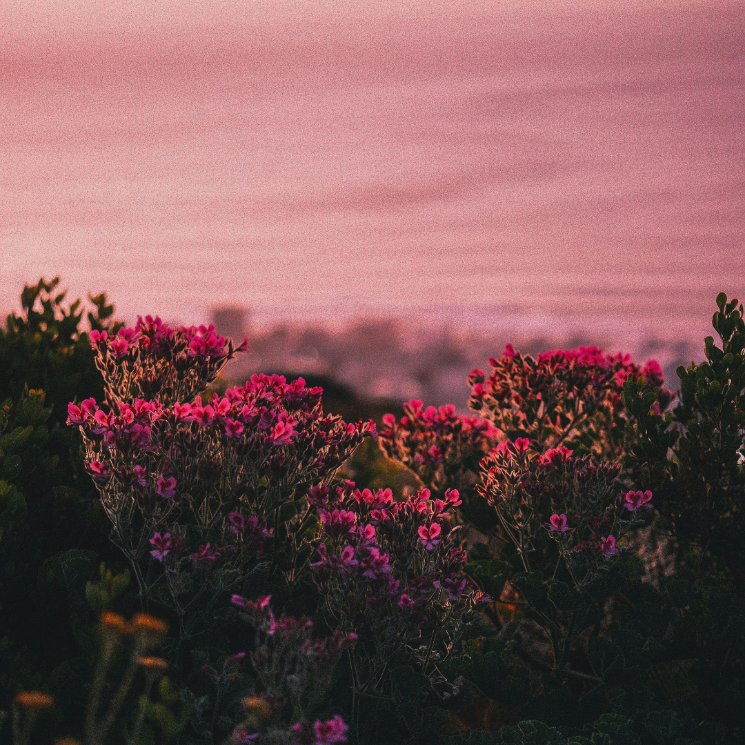 embodied yin yoga | Piwi Yoga Heringsdorf | Insel Usedom