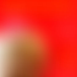 Bate papo sobre literatura na Oficina de Texto