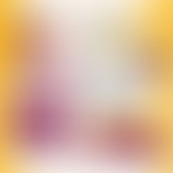 Belém como metrópole cultural e criativa da Amazônia