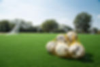 Soccer Balls Wyandotte