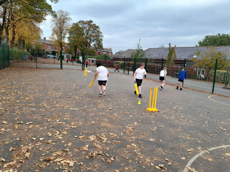 Cricket in 6J