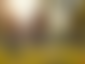 Empower Dads: Lead with Confidence & Energy