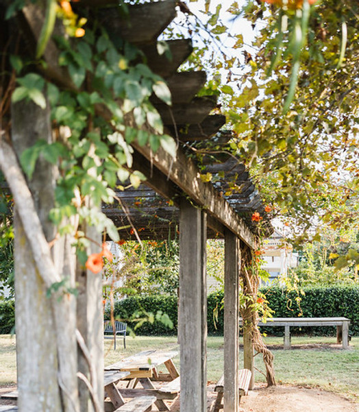Pergola.jpg