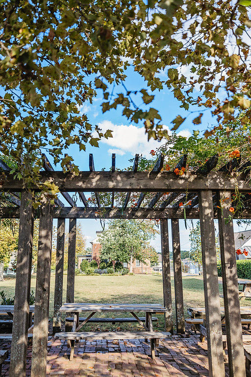 UnderPergola.jpg