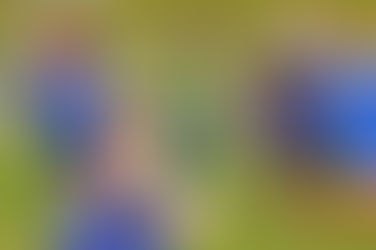 Disappointment: Allied Soccer Drops Yet Another Game