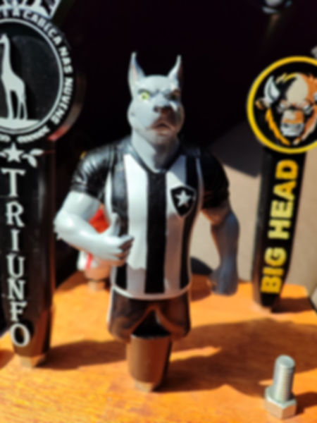 Biriba Mascote do Botafogo