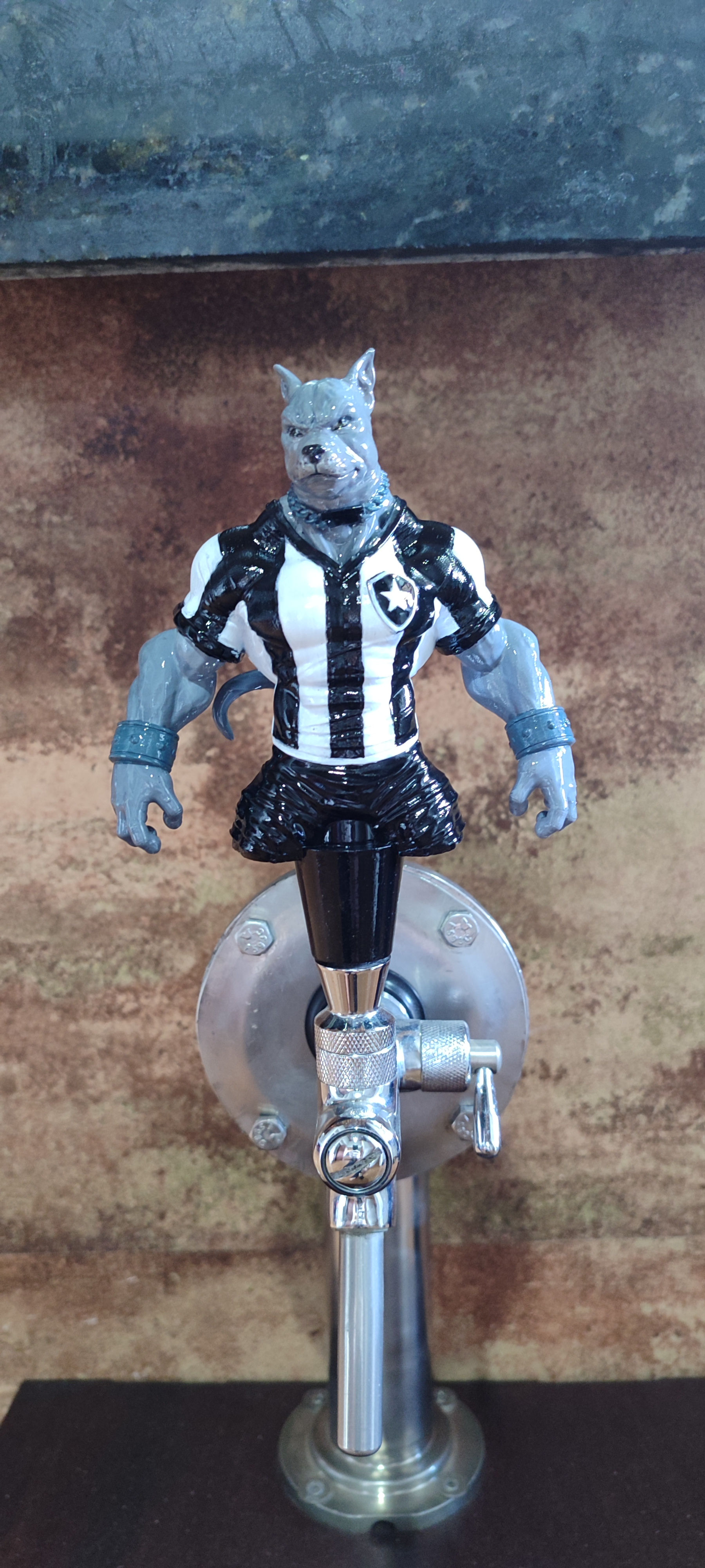 Botafogo Mascote TAP