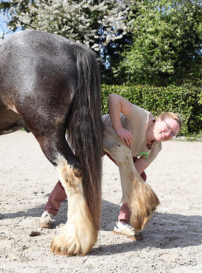 Dorntherapie