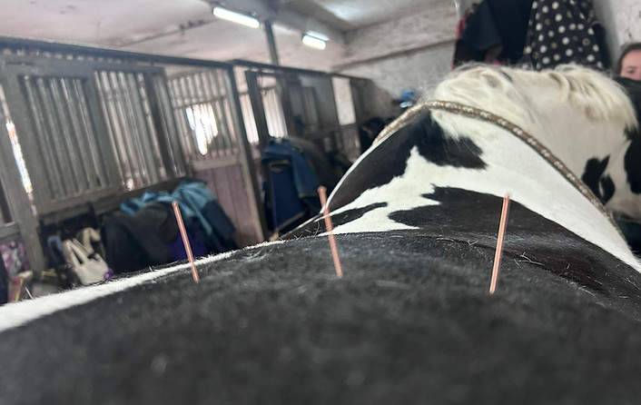 Dryneedling