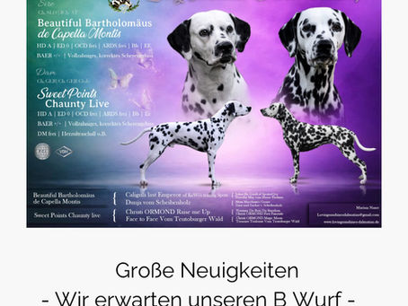 Wir erwarten unseren B Wurf