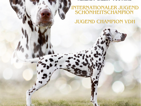 Jugend Champion Suri