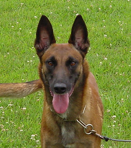 Copy of Baya 034.jpg