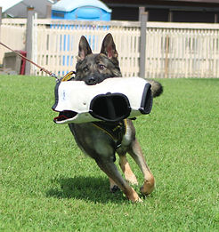 Chrystal and Masie (15).JPG