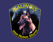 logo malinois vom roten sturm,purebred belgian malinois,working dogs,akc belgian shepherd puppies,protection dogs