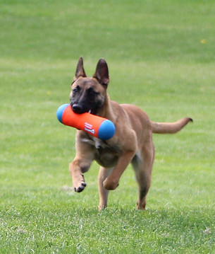 Quinn 5 month + April 5-20 (72).JPG