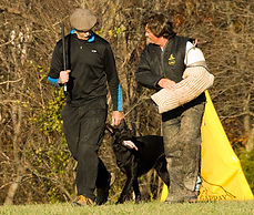 Fall trial 2011 -a (3).jpg