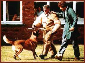 cartou2 (2021_12_28 19_28_35 UTC).jpg