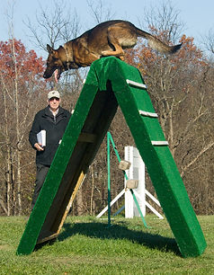 DSC_0334 Cash Vic A frame.jpg