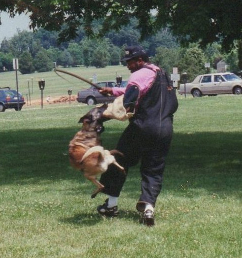 img132.jpg