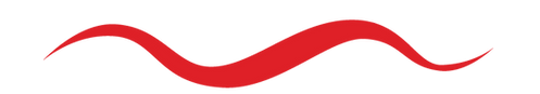 augustine vector-19.png