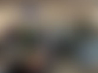 The Installation and Examination of Libby Janes