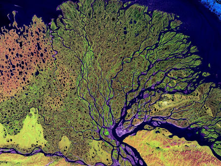 Embodied Antiracism Clergy Cohort (for white Christian clergy)