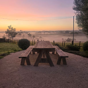 Modern Garden and Backyard Designs