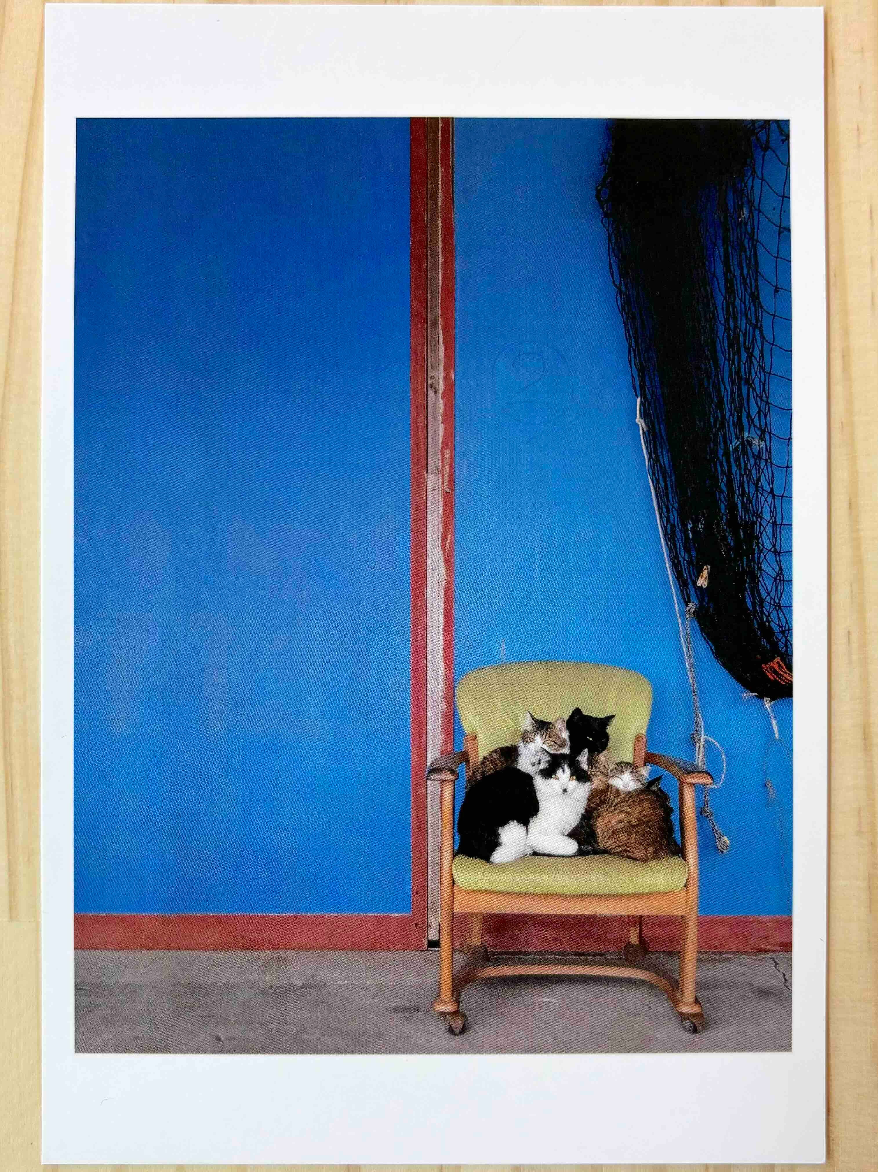 ポストカード「coco（ココ 個々）」