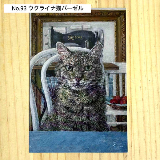 三毛猫雑貨店 | 新着