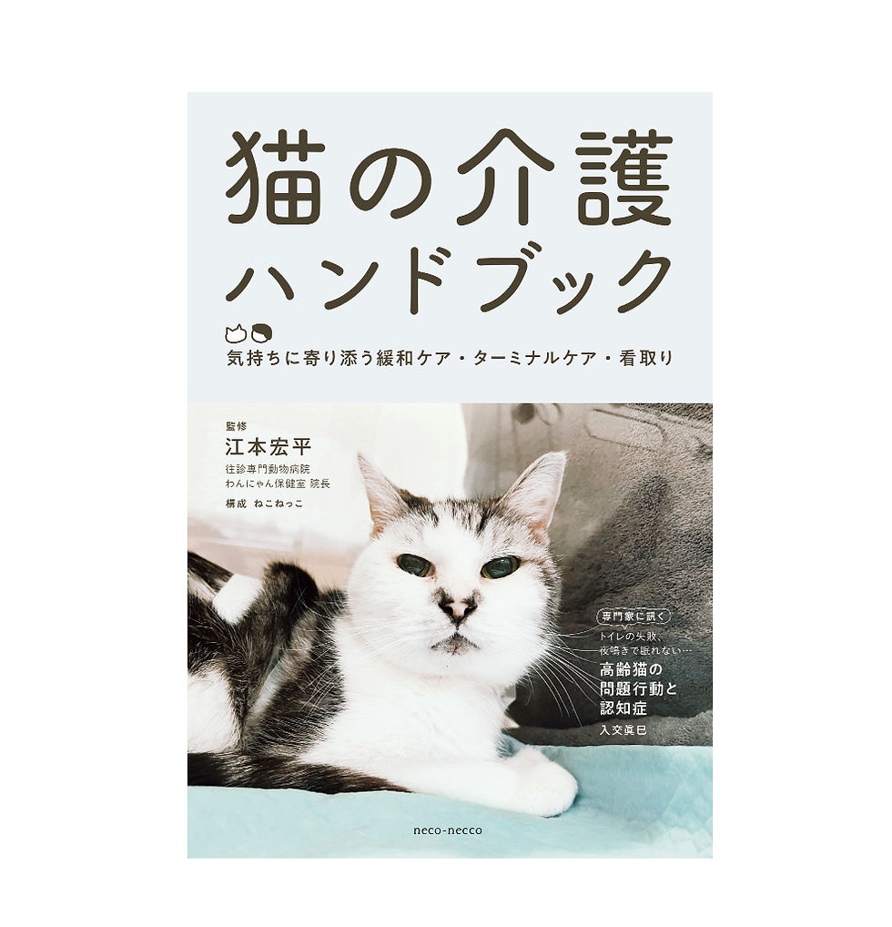 【直筆ペルシャネコ原画】作者サイン入り　貴重な肉筆画です！ Amazon.co.jp: 猫荒木孝介 真作 F0号 オリジナル技法肉筆絵画
