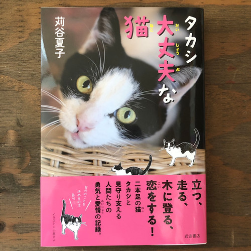苅谷夏子『タカシ 大丈夫な猫』 | 三毛猫雑貨店