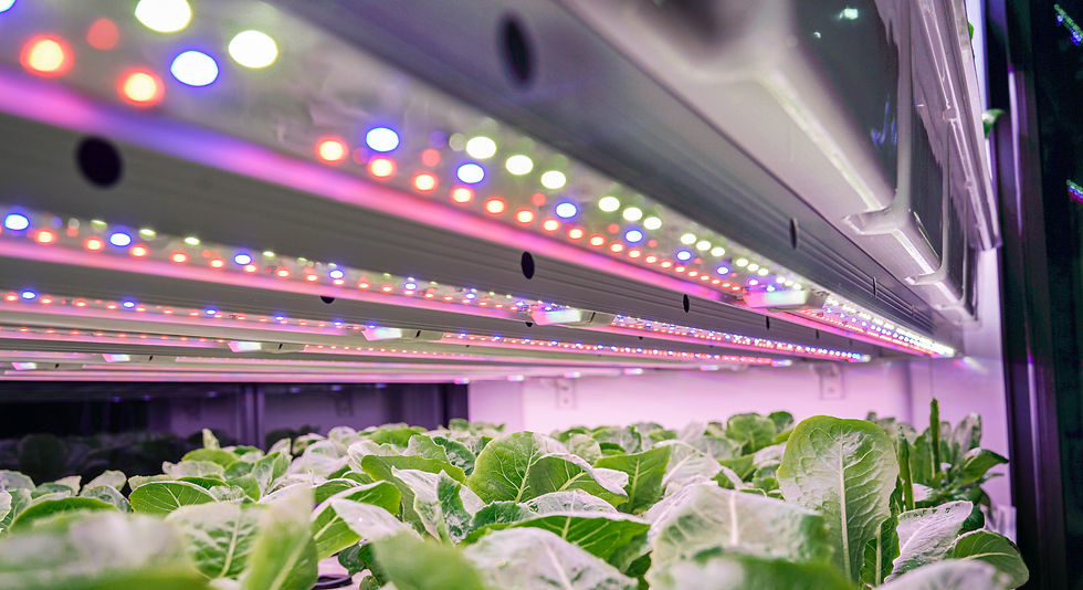 FarmCube Ultra programmable LED lighting system for plant growth research_edited.jpg