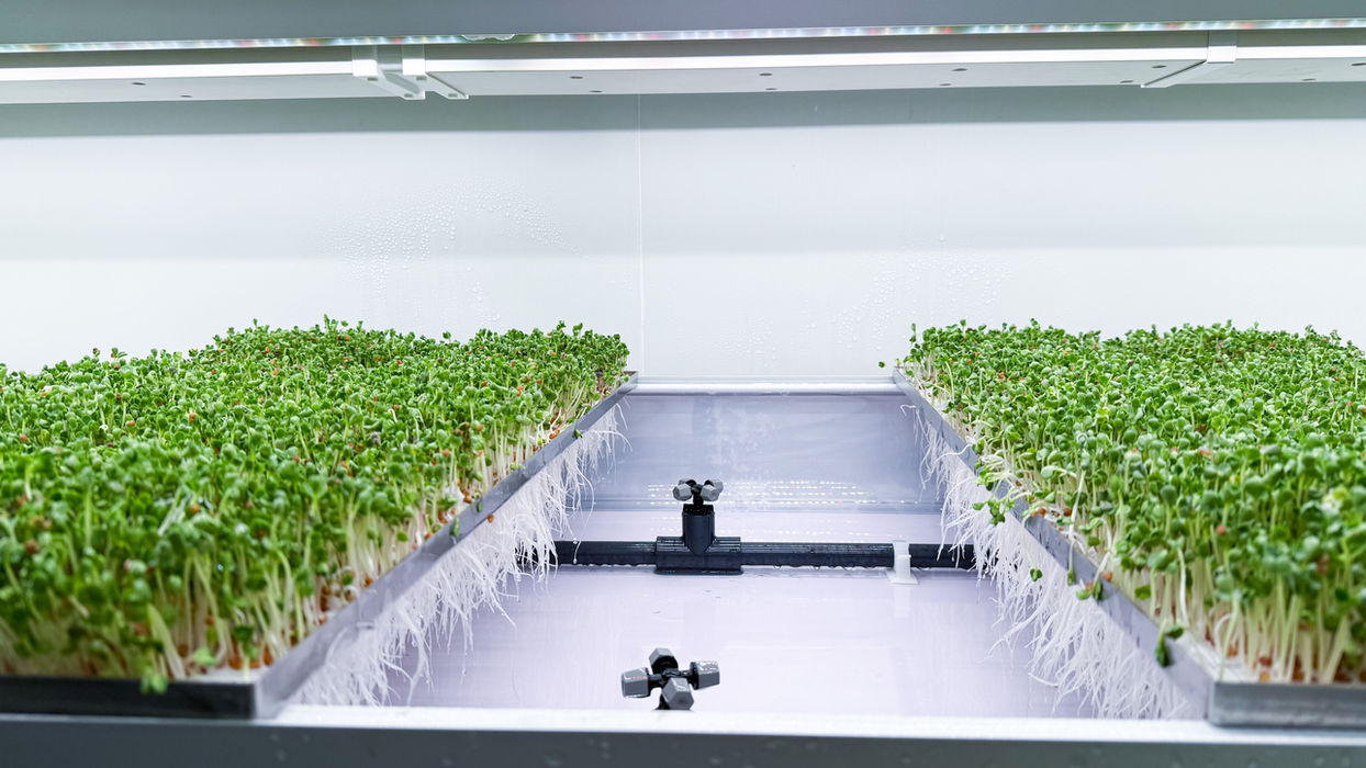 BioCube Container application scene for modular container farm