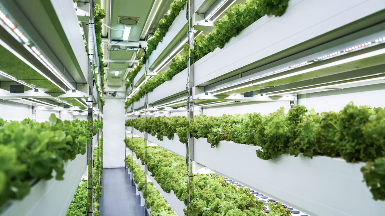 BioCube Container application scene for commercial indoor farming