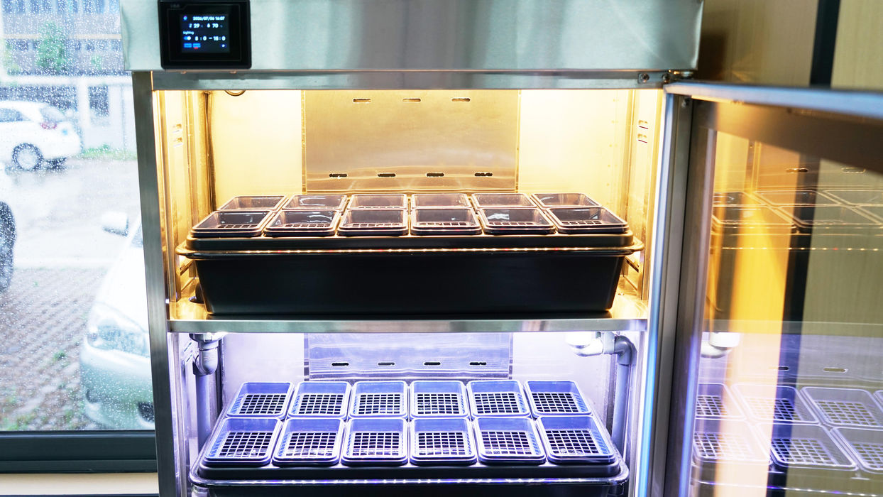 FarmCube Neo microgreens growing cabinet with multi-tier trays and integrated LED lighting