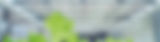 Green Leaf _Modular