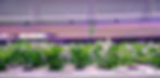 FarmCube Ultra compact vertical farming system for research and education