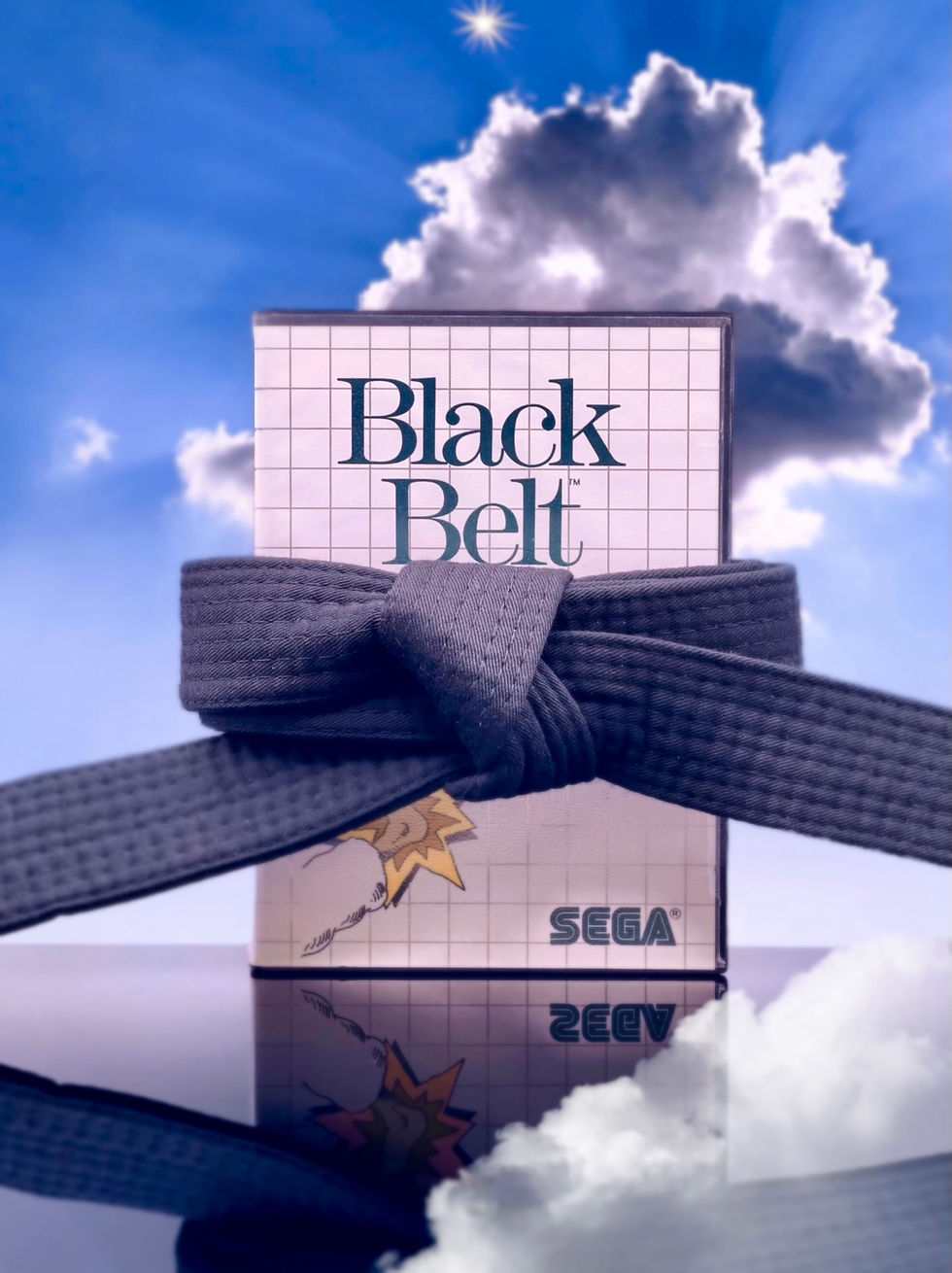 Black Belt SMS black-belt-sms