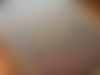 Eternal Arcadia: Limited Box