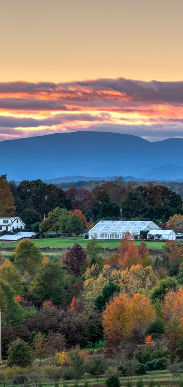 The Original Farmers Market: The Story of an L.A. Icon | Discover Los  Angeles, image size:640x1352