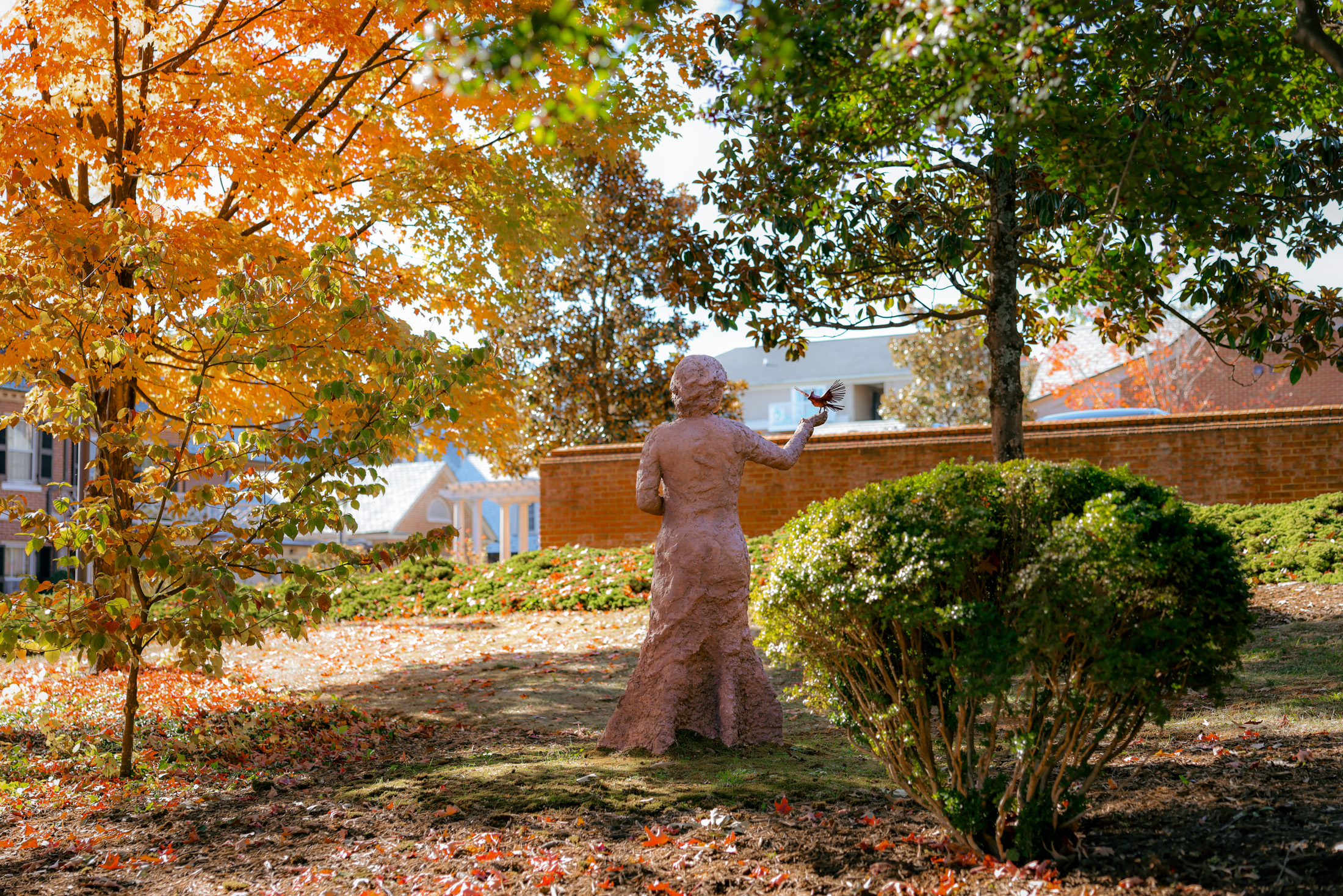 Martha Jefferson House, Charlottesville