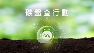 🌿 推動環保，守護地球：本公司碳盤查行動