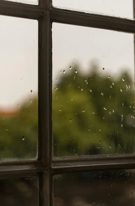 Prepare Your Home for Rainy Season: Why Backflow Testing Should Be on Your To-Do List