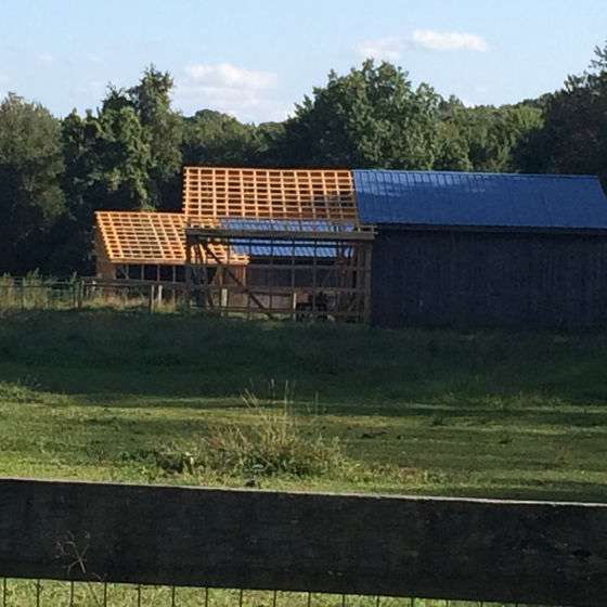 2017: It's all happenin' at the farm!