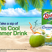 Real Active Coconut Water (Pack of 30)