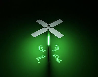 Solar light fish feeder pic.jpeg