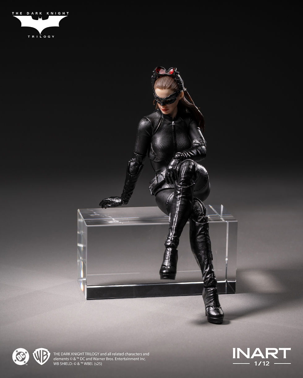 縮圖：Inart The Dark Knight Rises Catwoman 貓女 1/12 可動人偶