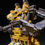 Thumbnail: Devil Saviour DS-07A + DS-07B Set