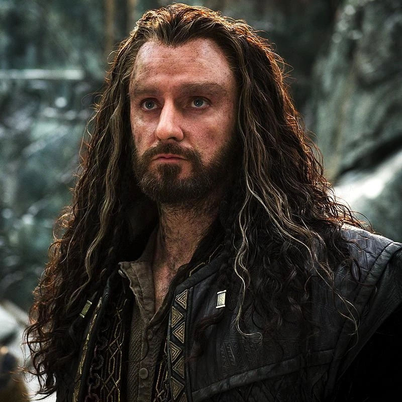 縮圖：Inart Ag-A018 The Hobbit 哈比人 意外之旅 Thorin Oakenshield 索林 橡木盾