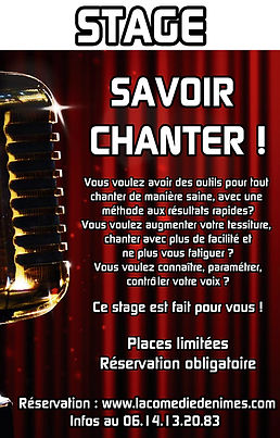 Stage initiation chant (affiche).jpg